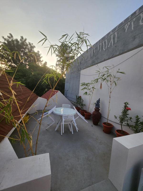 Homestay Raatree