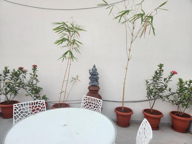 Raatree